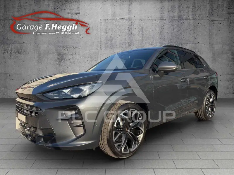 2026 Cupra Other