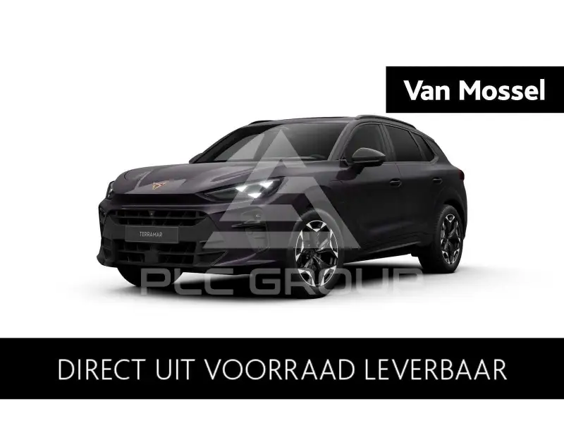 2026 Cupra Other