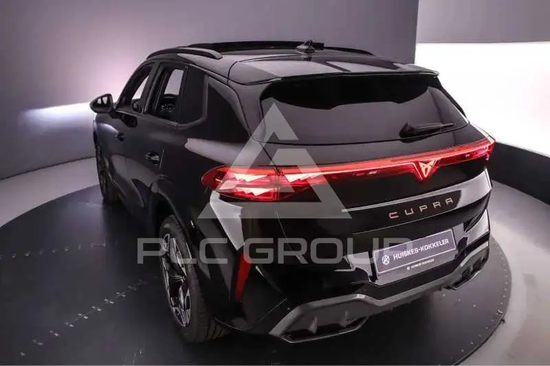 2026 Cupra Other