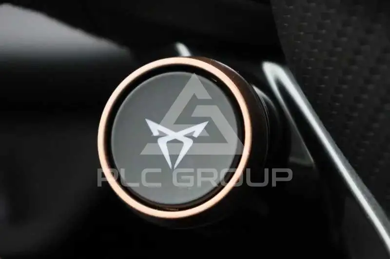 2026 Cupra Other