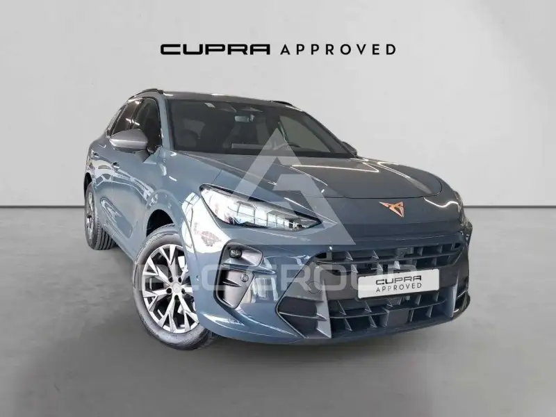 2026 Cupra Other