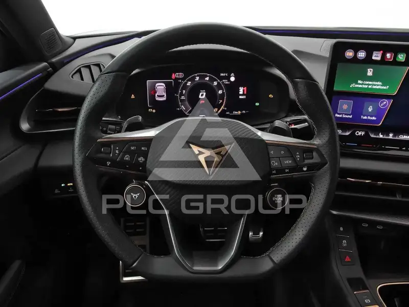 2026 Cupra Other