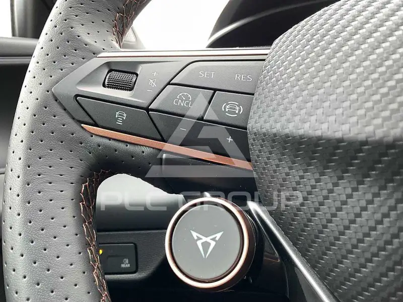 2026 Cupra Other