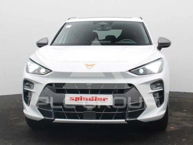 2026 Cupra Other