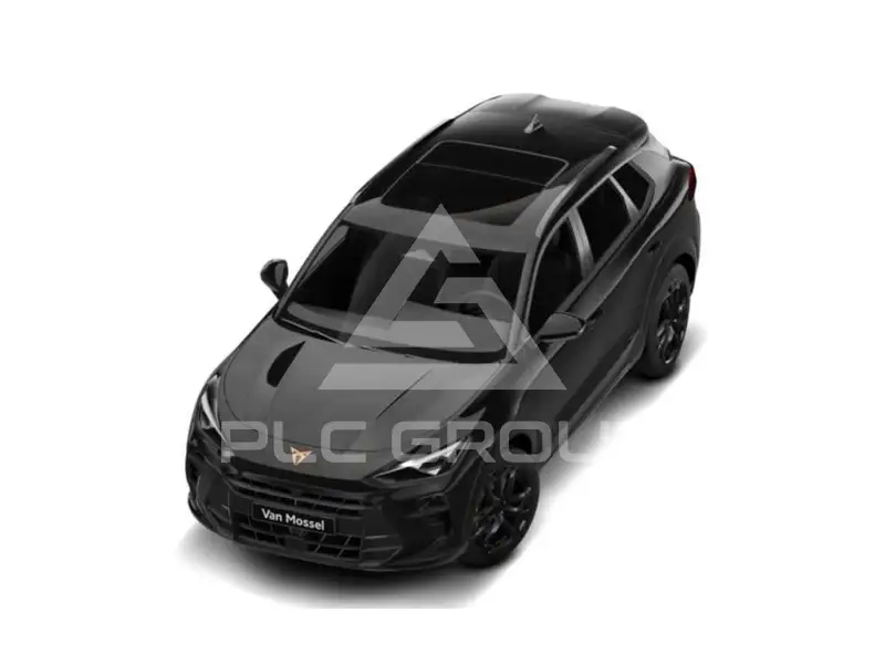 2026 Cupra Other
