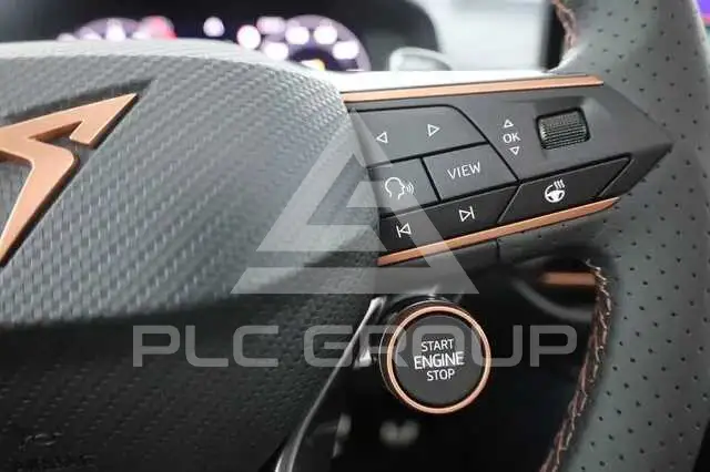 2026 Cupra Other