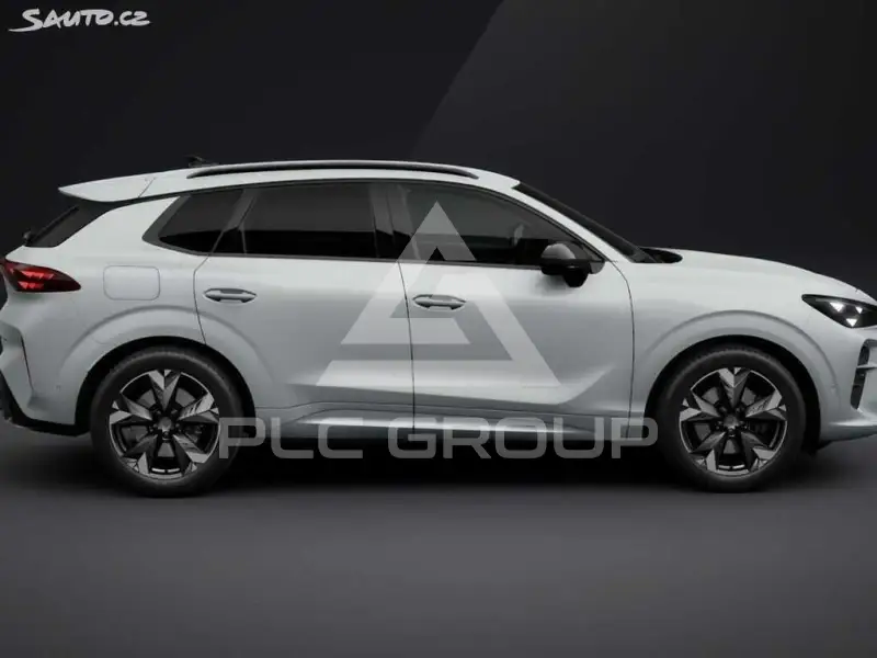 2026 Cupra Other