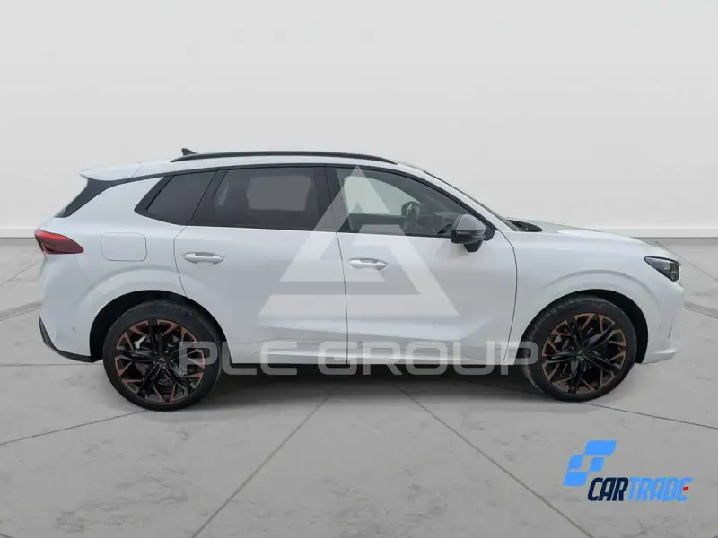 2026 Cupra Other