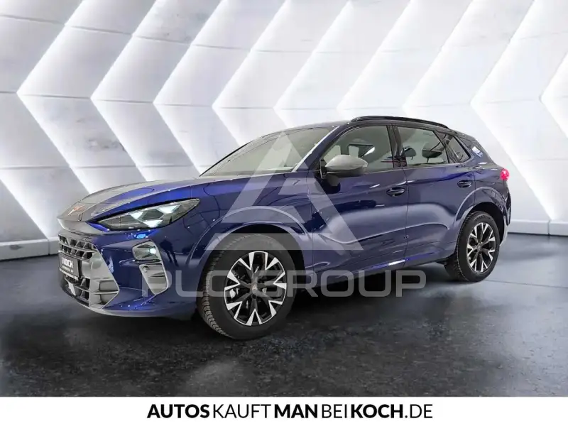 2026 Cupra Other
