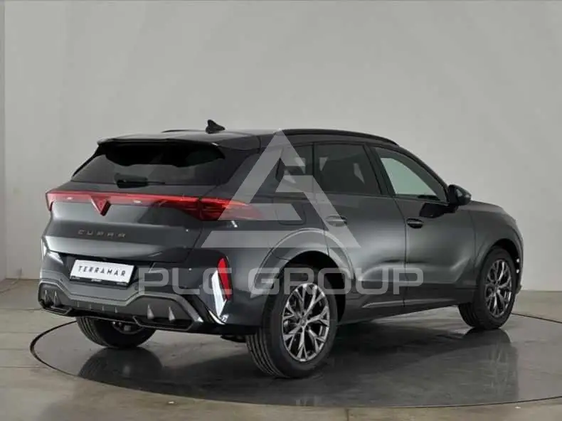 2026 Cupra Other
