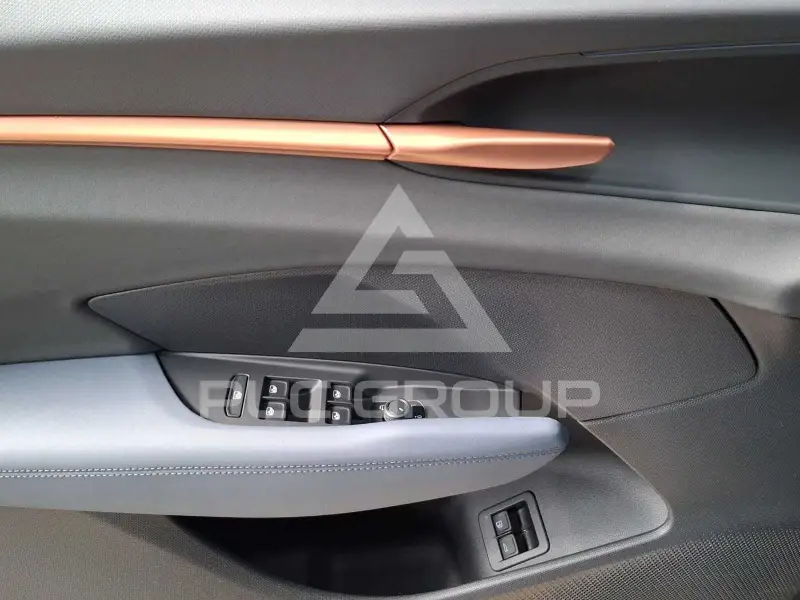 2026 Cupra Other