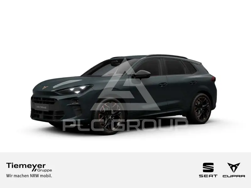 2026 Cupra Other