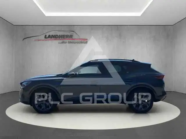 2026 Cupra Formentor