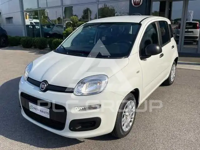 2026 Fiat Panda