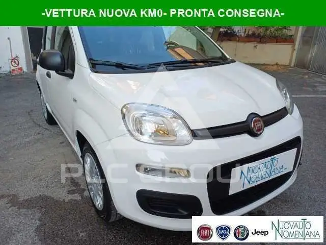 2026 Fiat Panda