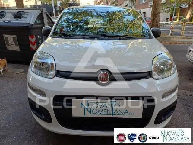 2026 Fiat Panda