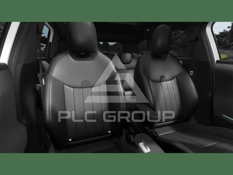 2026 Mini Paceman