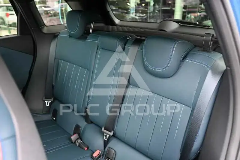 2026 Mini Paceman