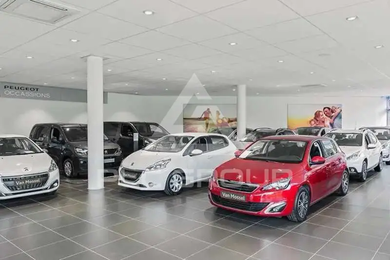 2026 Citroen C5