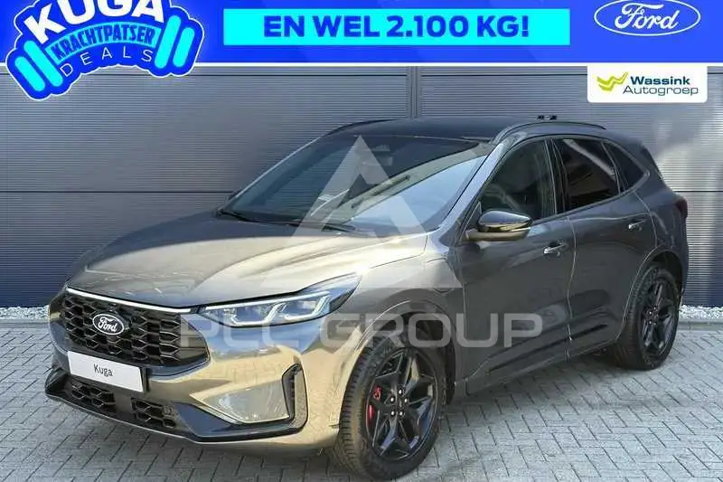 2026 Ford Kuga