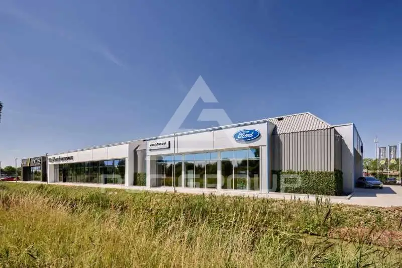 2026 Ford Kuga