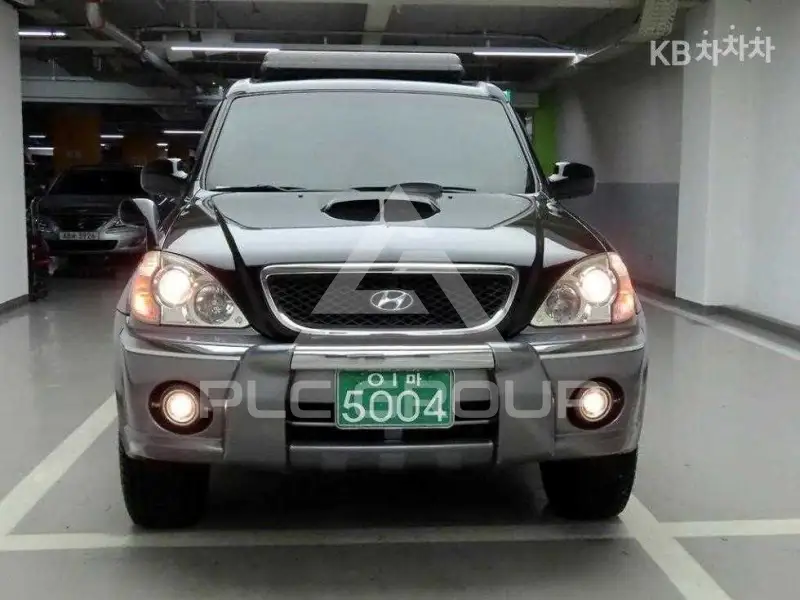 2004 Hyundai Terracan