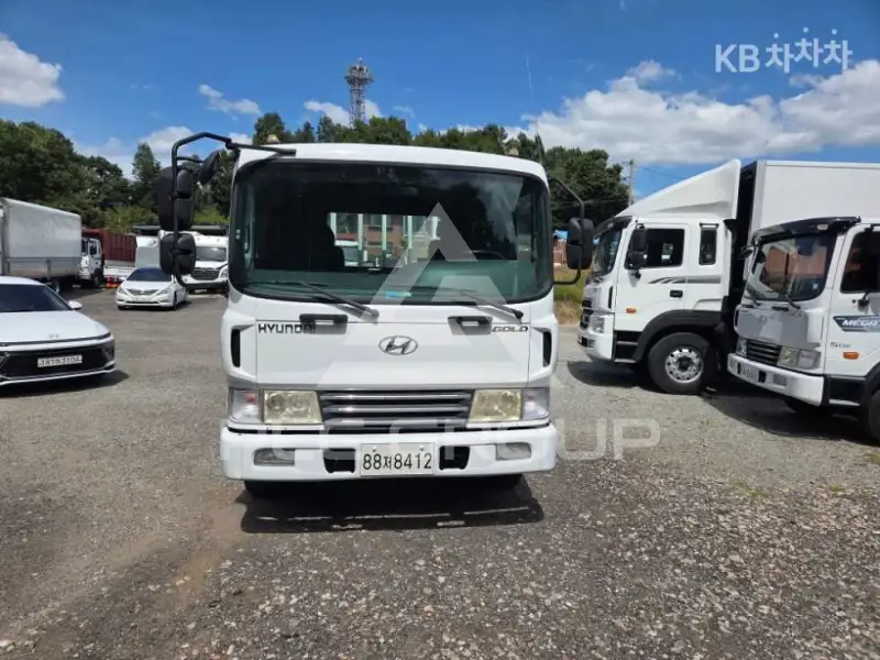 2005 Hyundai Mega truck