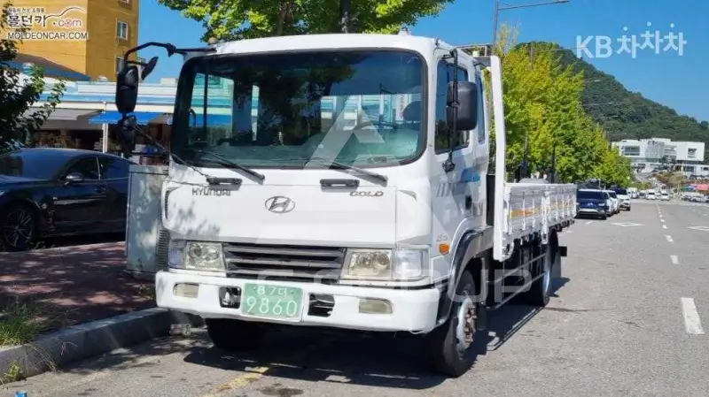 2006 Hyundai TRUCK