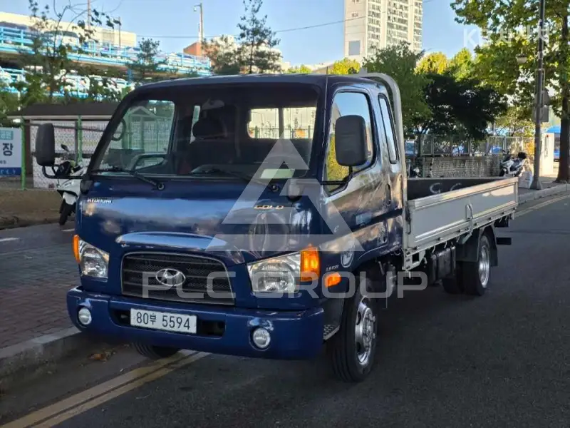 2008 Hyundai Mighty