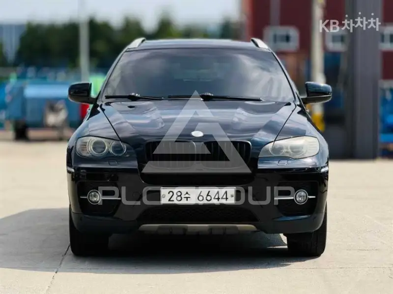 2009 BMW X6