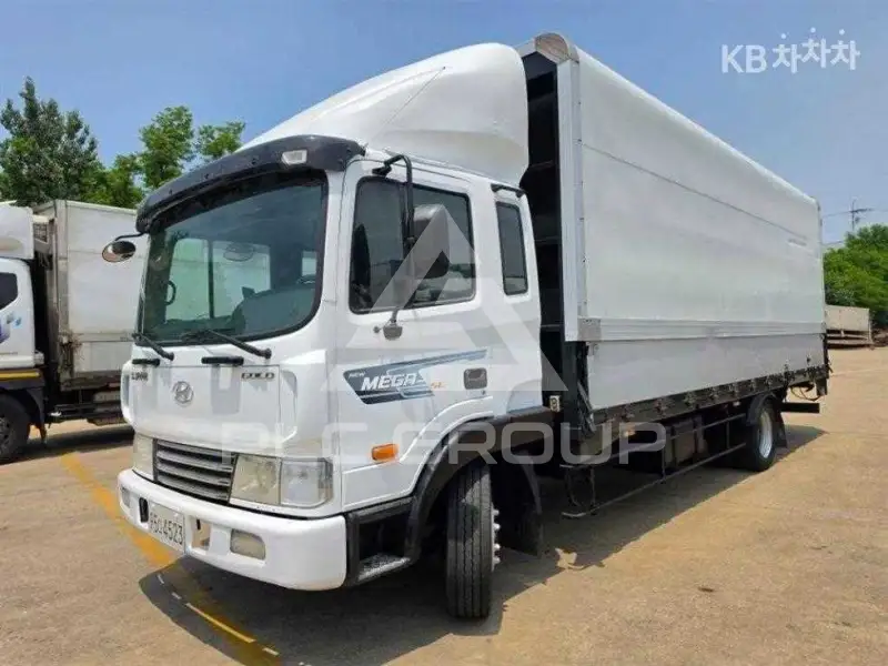 2009 Hyundai TRUCK