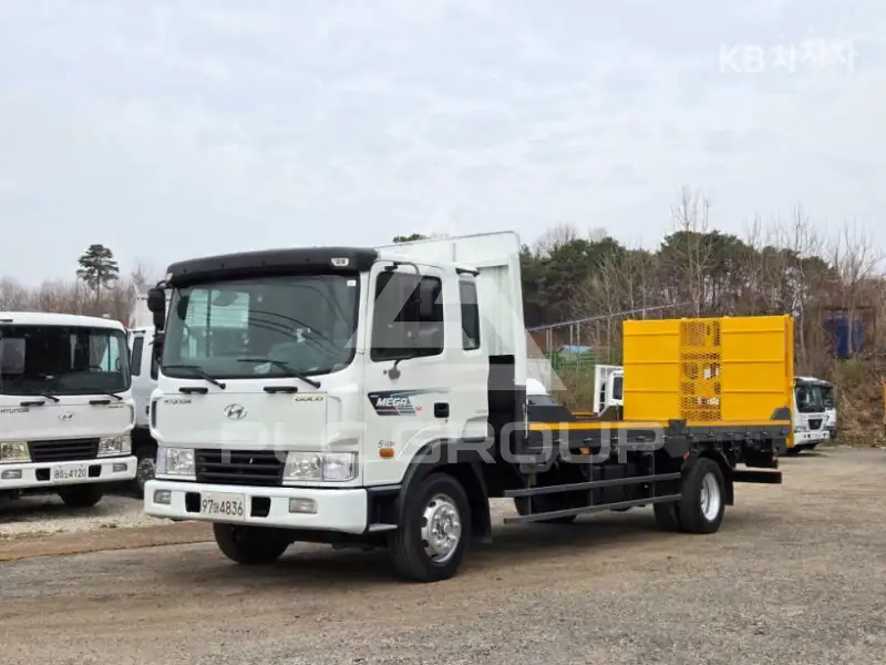 2009 Hyundai Mega truck