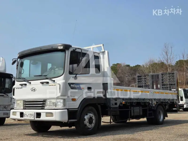 2009 Hyundai Mega truck
