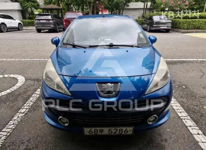 2009 Peugeot 207