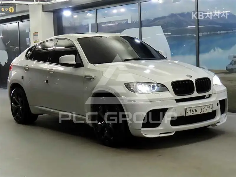 2010 BMW M1