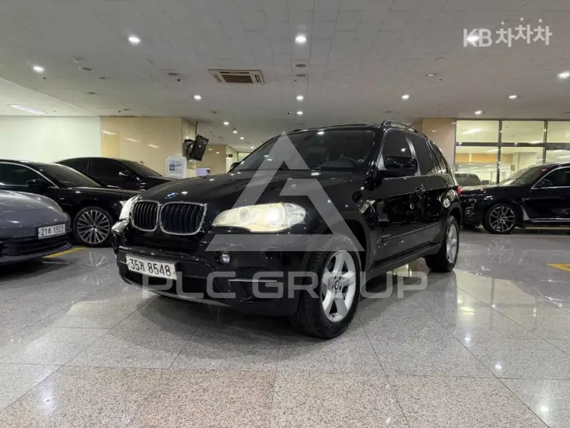 2010 BMW X5