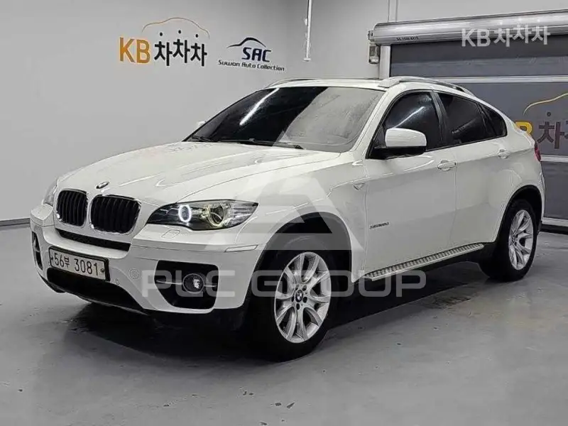 2010 BMW X6