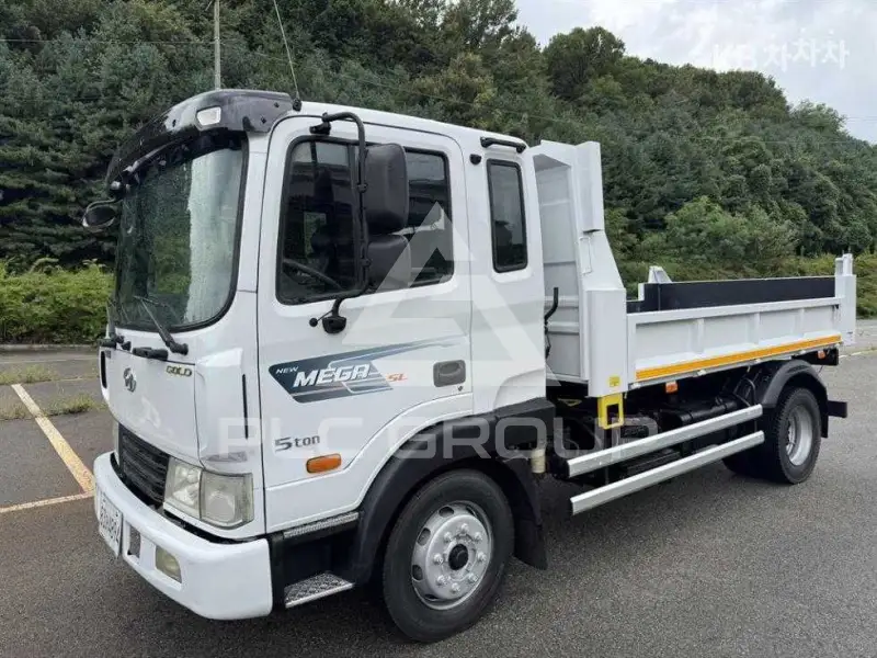2010 Hyundai TRUCK