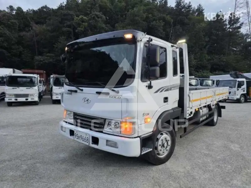 2010 Hyundai TRUCK