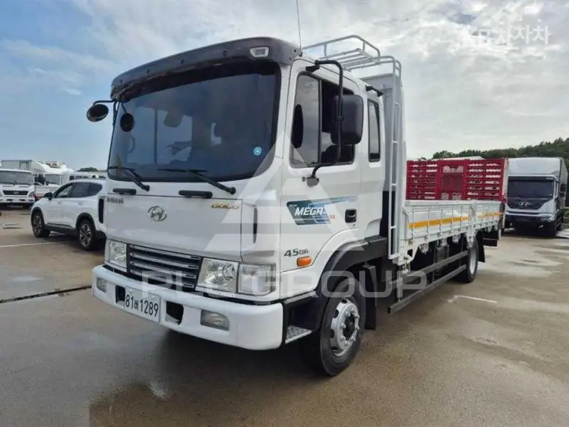 2010 Hyundai TRUCK