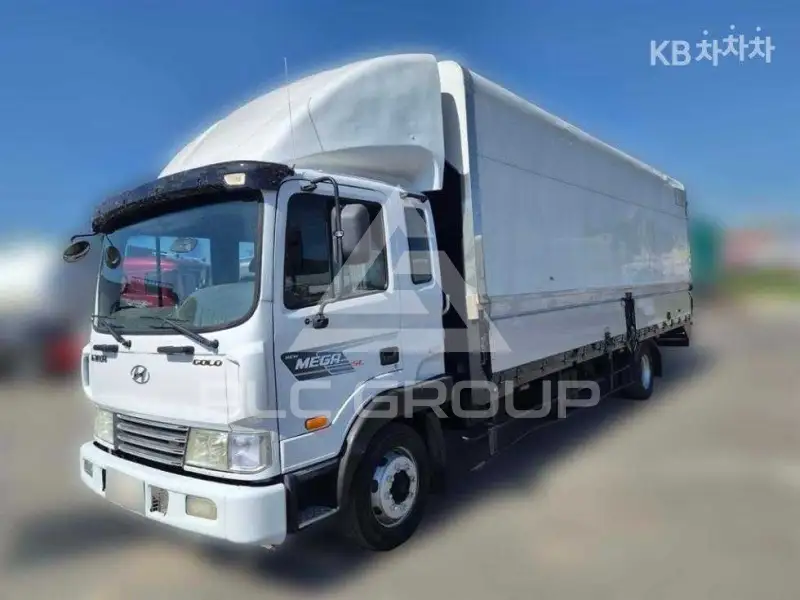 2010 Hyundai TRUCK