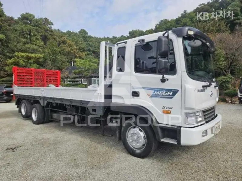 2010 Hyundai TRUCK