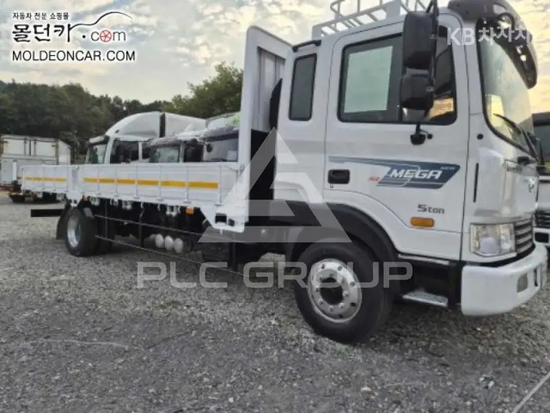 2010 Hyundai TRUCK