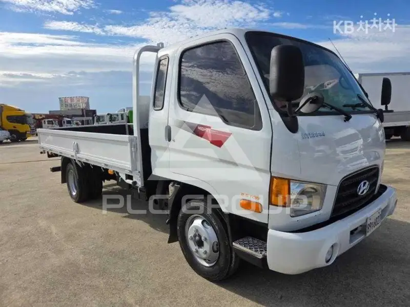2010 Hyundai Mighty