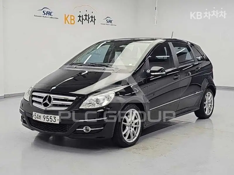 2010 Mercedes Benz B-Class