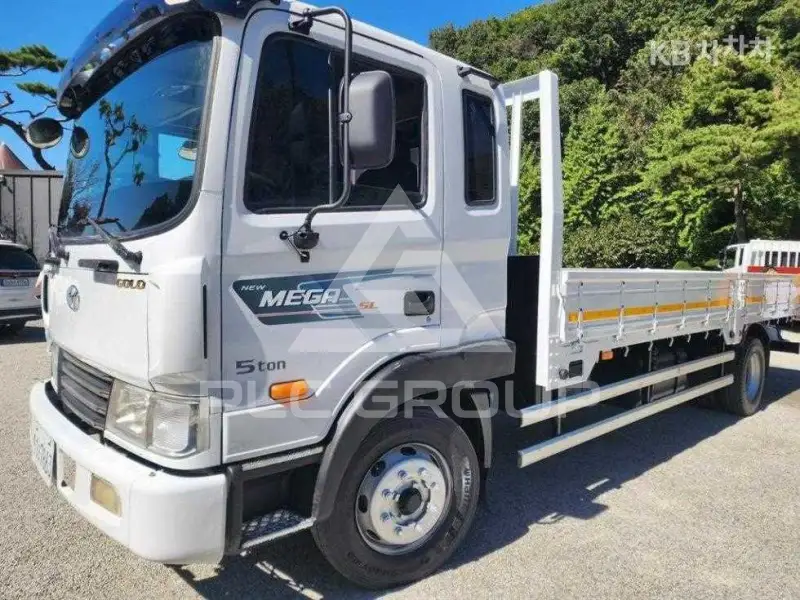 2011 Hyundai TRUCK