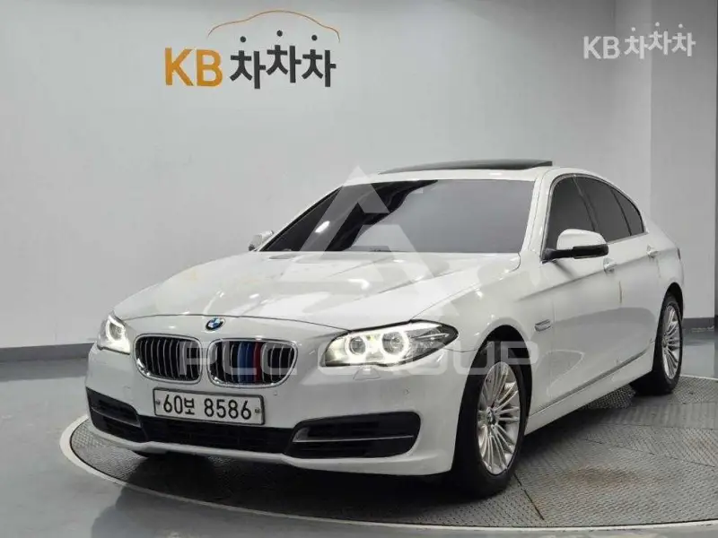 2013 BMW 5 Series