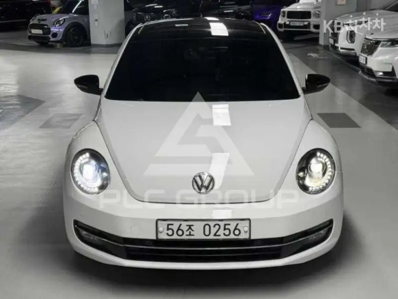 2013 Volkswagen BEETLE