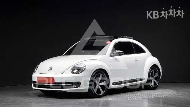2013 Volkswagen BEETLE