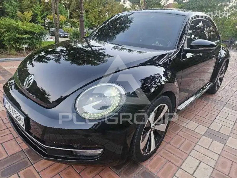 2013 Volkswagen BEETLE